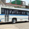 Banderilla Bus
